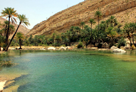 Wadi Bani Khalid Safari by Orient Tours
